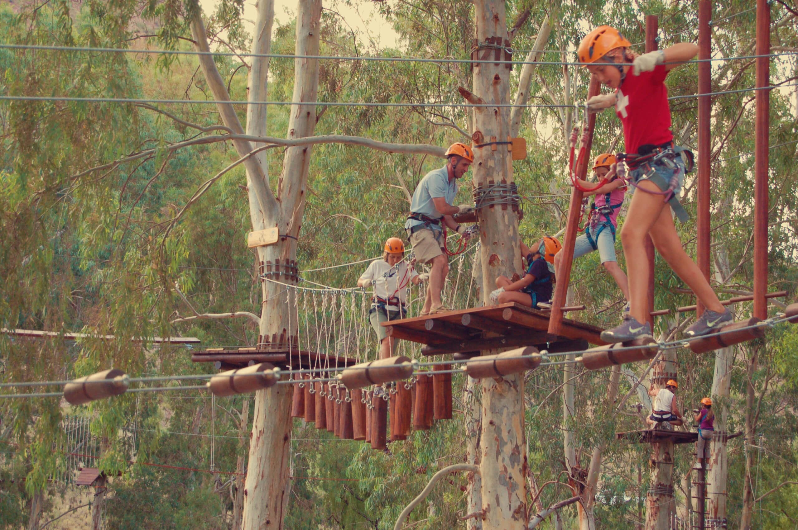 Bosque Euca- Valle Grande