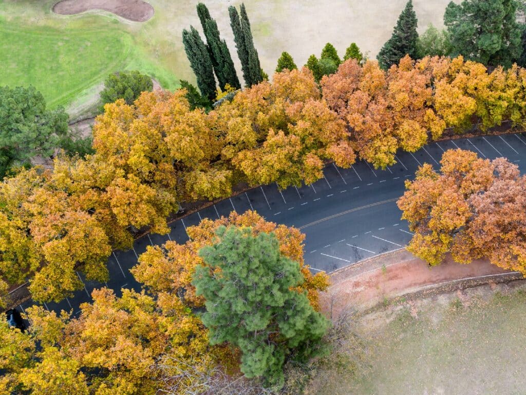 Parque Otono Mendoza