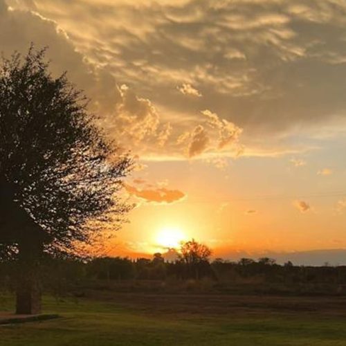 Flormia-Finca-Divisadero