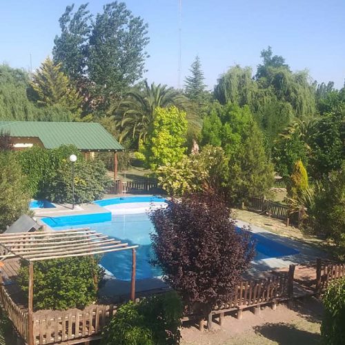 Saint Bernard San Rafael Mza